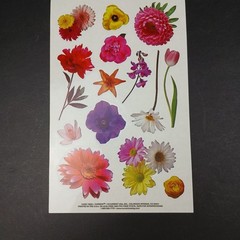 Vintage Photo Floral Stickers by Current 73833 6×9″ New