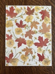 FALL Scrapbook Paper, Leaf Punch Out Die Cuts And Autumn Card-Stock (19pcs)