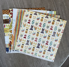 Fancy Pants Designs Rusted Sun Scrapbook Lot Paper Stickers Ribbon Buttons Tags