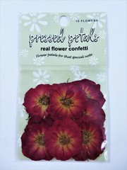 Mixed Lot Cardmaking Scrapbooking Flower Petals Leaves Real & Artificial Crafts