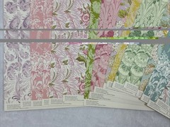 Anna Griffin Feather 19 12×12 Cardstock – 24 12×12 text sheets – 7 6×8