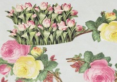 2019 Anna Griffin AG708 «VINTAGE BUNNY DIECUTS» Easter with Folio Box 253-Pcs