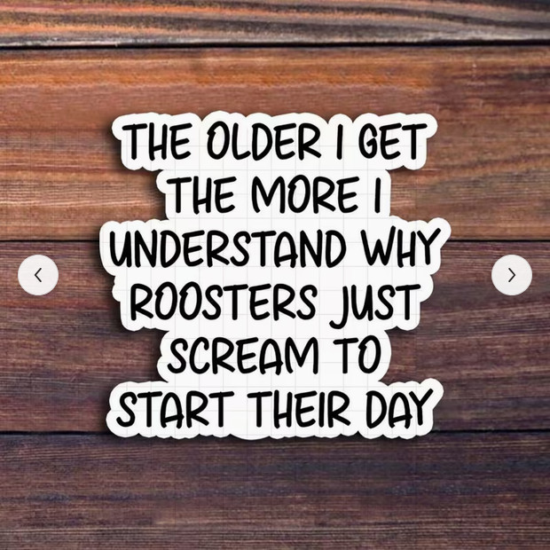THE OLDER I GET THE MORE I UNDERSTAND ROOSTER STICKER JUNK JOURNAL PHONE PC A+