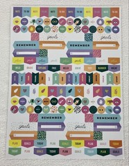 ADVENTURE Safari Nature Girl POWER Goals Planner Calendar Stickers 300 Pieces