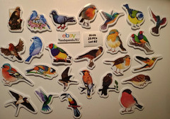 Birds – Small – Mixed – Stickers – 25 PCs – 2 styles available! See Description