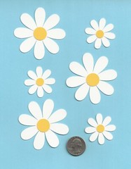 Daisy Die Cuts, LAYERED, 2.5″ and 1.5″ Choose 6, 12 or 24 pcs Flower Die Cuts