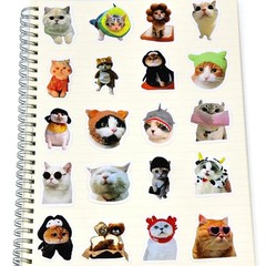 50/100pcs Funny Cat Stickers Cartoon Cute Decals Toy Stationery Guitar Phone
