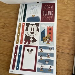 The Happy Planner – Disney – Mickey & Minnie Mouse Calendar Stickers 2