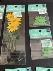 NEW Lot Of 14~JOLEES BY YOU Dimensional Stickers- Flowers & Leaves & Botanicals