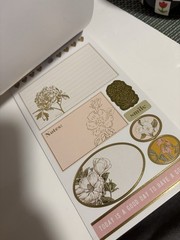 Recollections Floral Scrapbooking Stickers Set Multicolor