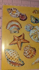 Vintage American Greetings Stickers Shells Seashells Starfish 1 Sheet