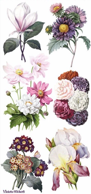 VIOLETTE STICKER – HEPBURN FLORAL – 7 3/4″ x 3 3/4″ 19.5 cm x 9.5cm