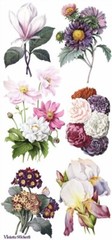 VIOLETTE STICKER – HEPBURN FLORAL – 7 3/4″ x 3 3/4″ 19.5 cm x 9.5cm