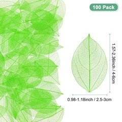 100-Pack Skeleton Leaves, Natural Rubber Tree Leaves Vein[4-6cm, Green]