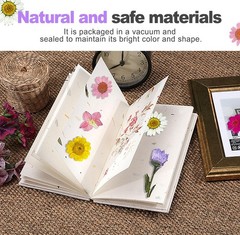 24 Pcs Real Pressed Flowers Set, Colorful Assorted Natural Botanicals for DIY…