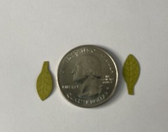 GREEN MID BIRCH LEAF Die-cut Embellishment(20pc)Jolee’s •Garden•Christmas•Stem