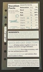 New Sticko VACATION FACTS Binder Stickers FREE SHIP EK Success
