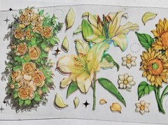 Forest Poetry stickers, clear with holographic gold accents. 3 different sheets.