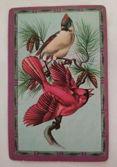 4 Duratone 50’s Cardinal Red Bird Border Single Swap Playing Cards Paper Vintage