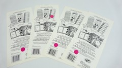 4 SandyLion Disney Phrase Sheet Theme Park DSCB43 Stickers