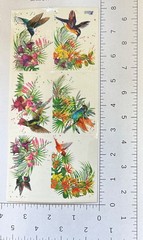 Violette Stickers Hummingbirds Tropical Flowers Crafts Planner Supply Scrapbook