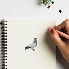 Pigeon Stickers 1in for Scrapbooking, Arts, Craft, Kids DIY, Calendars Journals