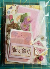 50+ pcs Ephemera Lot Junk Journal Scrapbook Collage Baby Girl Themed