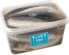60PCS Live Fish Stickers Shipping Supplies,Please Handle with Care This Side …
