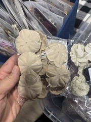 Floral Embellishments, Multicolor, Faux artificial paper/fabric embellishments