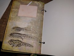 Pond Life Junk Journal Scrapbook USA Seller