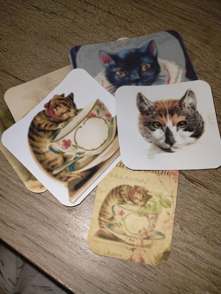 10 Cat RANDOM Embellishments Scrapbook Junk Journal USA Seller