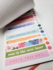 Lot Of 3-The Happy Planner-Seasonal, Choose Happy & Essential-99% Complete-MAMBI