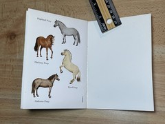 Ponies Stickers & Horses Tattoos 2003 by John Green Dover Lot of 3 NOS
