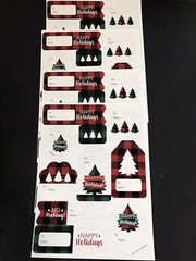 BiGDoT Christmas Gifts TO & FROM Sticker Labels Red & Green Plaid 10 Pages