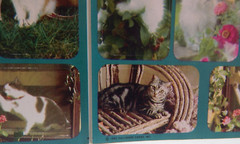 Vintage 1992 Hallmark Garden Flowers Cats & Kittens Sticker Sheets Lot