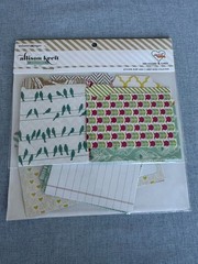 LOWERED PRICE Webster’s Pages Mini Folders & Cards- Scrapbook, Craft NIP