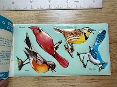 Vintage Eureka Mid Century Wild Bird Seals Stickers Booklet 24 Seals Complete