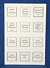 Anna Griffin Mini Sentiments Sticker Everyday & Holiday 288 pc Themed Sentiments