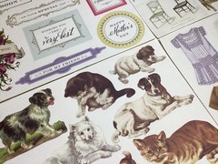 Anna Griffin All About Her Die Cuts 9 Sheets