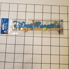Disney Vacation Title Embellishments Jolee’s Boutique EK SUCCESS Sticker Scrapbo
