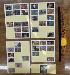 🐯 Huge Lot Of Zoo Safari Desert Animals Stickers Vintage Scrapbook Crafts Gifts
