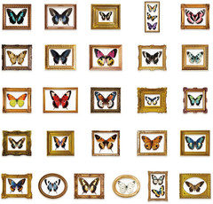 52 Unique Vintage Butterfly Photo Frame Stickers @ 2″x2.5″