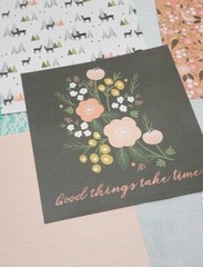 Papercraft Lot #1 – Build Your Stash – Peachy Evergreen Recollections – 30 Pcs.