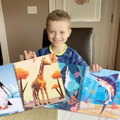 90shine 4PCS Sticker Books for Kids Ages 4-8 Includes Underwater Pet Dinosaur…