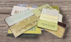 Lot of 64 Scrapbook Titles By My Minds Eye Cardstock Different Sizes
