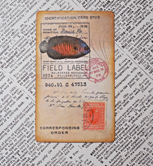 Handmade Embellishments Field Specimen Cards Junk Journal Scrapbook Altered Art