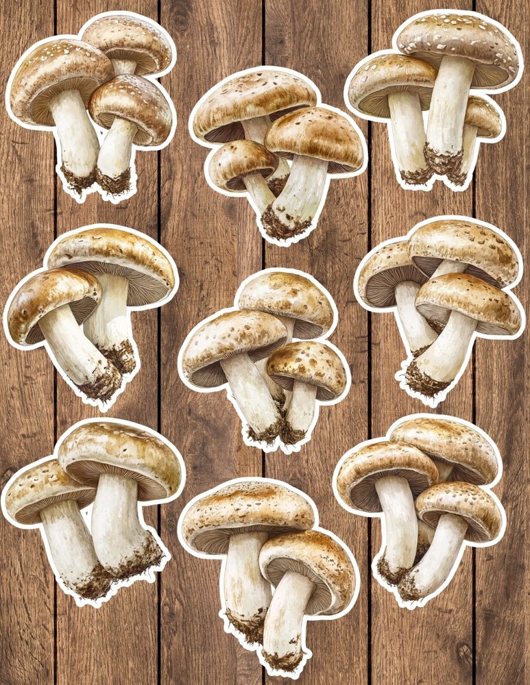 Mushrooms Die Cut Vinyl Stickers Set Scrapbooking Laptop Waterbottle