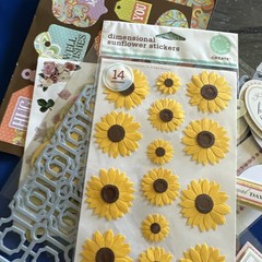 Card Making Scrapbooking LOT Embellishments Ann G, Cut Outs. 4 RollsVinyl Paper