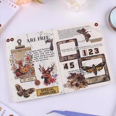 900Pcs Mini Scrapbook Washi Stickers for Journaling, 50 Sheets Vintage Sticker B
