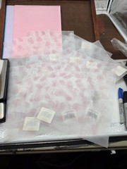 Mixed Scrapbooking Junk Journal Shadow Box Lot 6- Cardstock, Stamps, Vellum